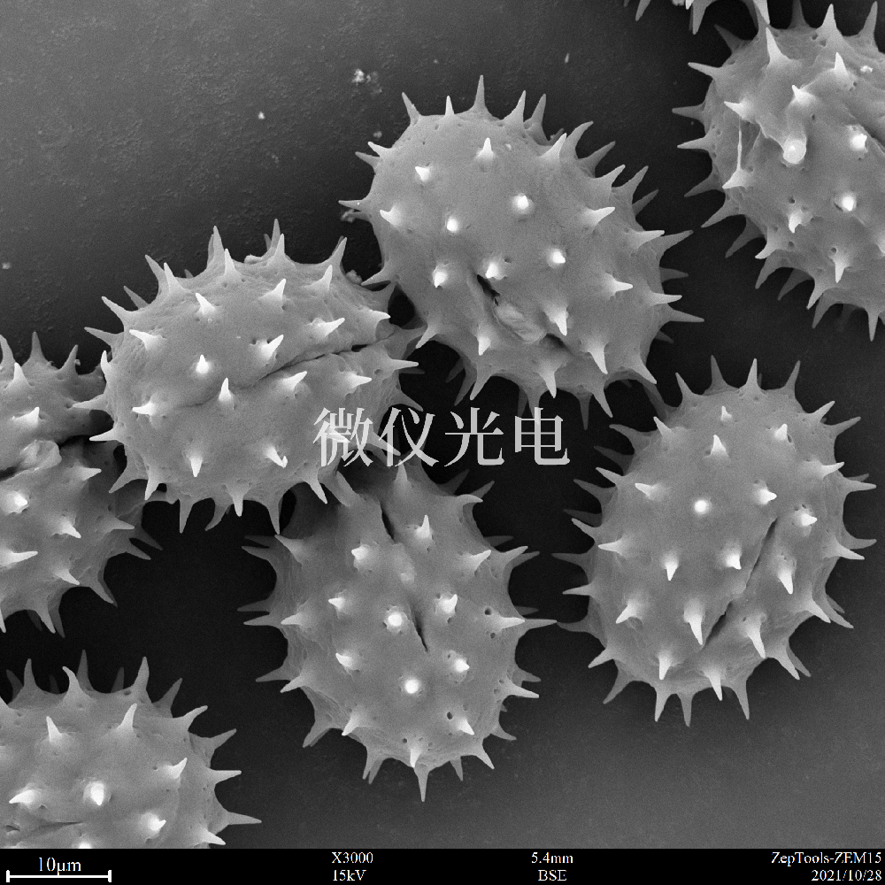 sem掃描電鏡的原理、組成、基本參數(shù)和應(yīng)用的介紹